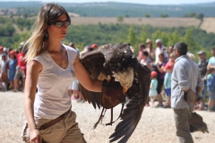 Bezoek een spectaculaire vogelshow met panoramisch uitzicht