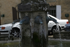 Op de markt staat een fontein met waterspuwers. Op die markt vind je ...