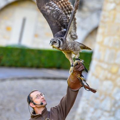 Chateau Les Milandes